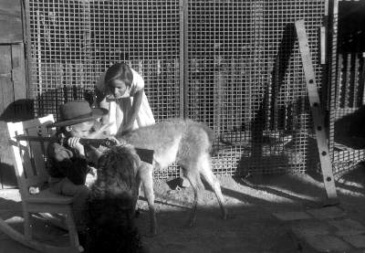 Anthony, Joan Fakkers, guanaco &Billy, the dog