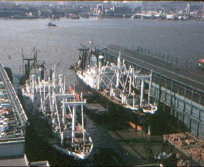 Sisters at Dock