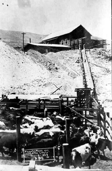 1928 Stock Yard & Slaughterhouse