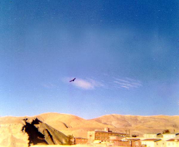Potrerillos 1970 condor