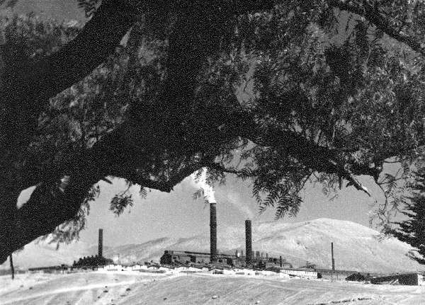 Potrerillos Smelter 1960