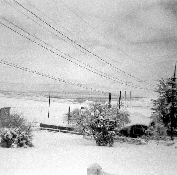 Sub Gerencia 1967 Snow