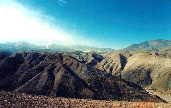 Potrerillos and Vicuna