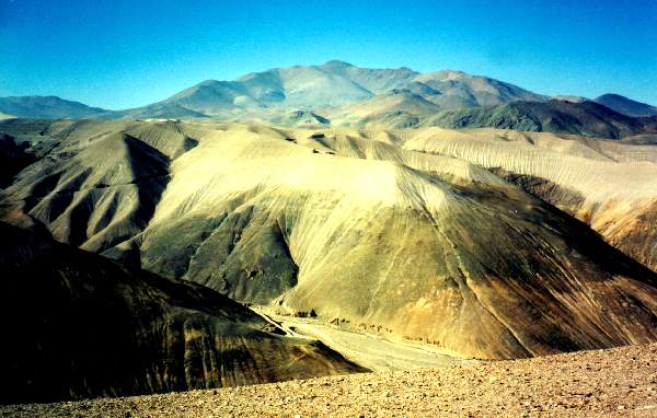 Vicuna across Valley